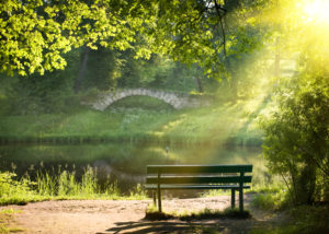 peaceful bridge and bench next to river